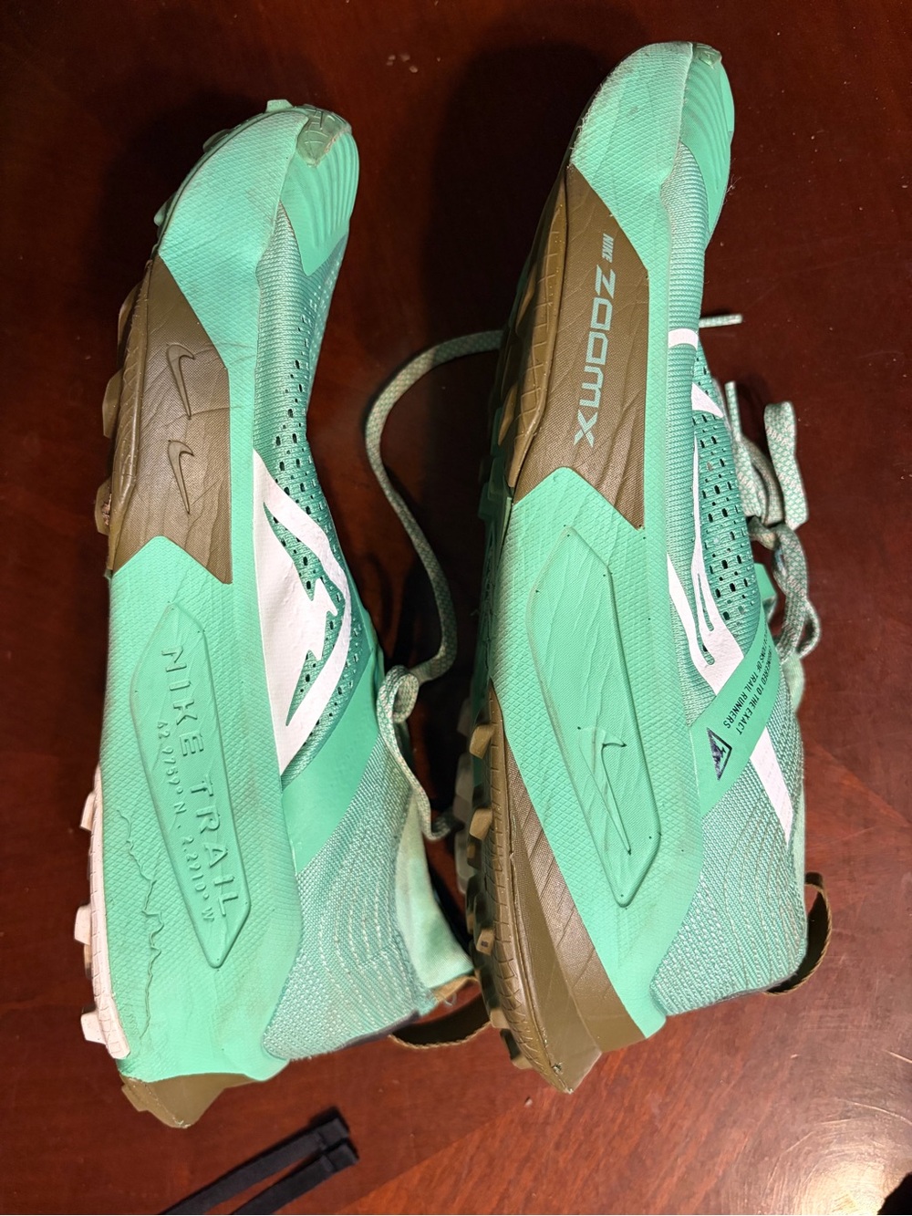 Nike Men’s Trail Running Shoes - Mint Green and Brown